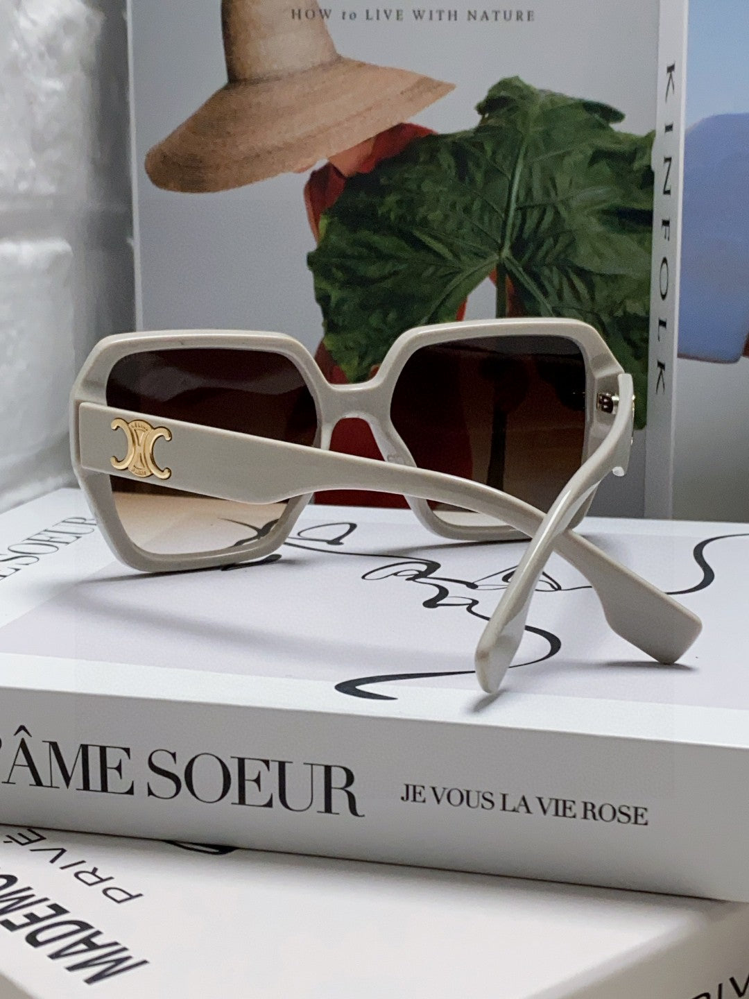 CELINE TRIOMPHE SUNGLASSES 552770 IN LIGHT GREY ACETATE
