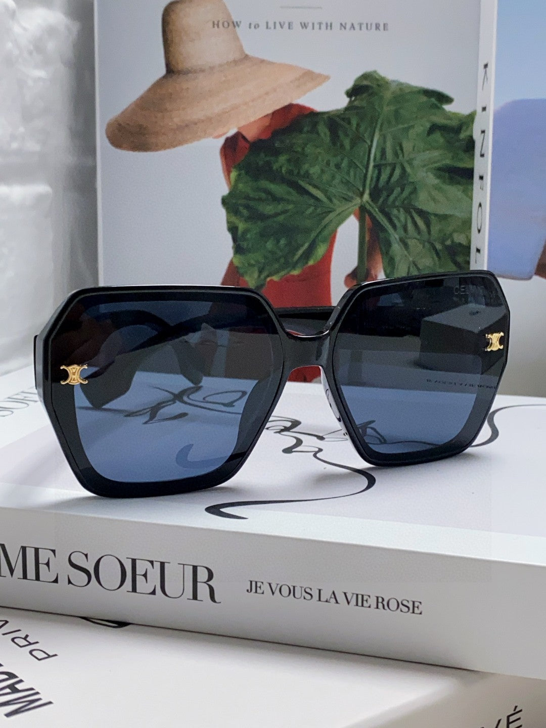 CELINE TRIOMPHE SUNGLASSES 552772 IN BLACK ACETATE