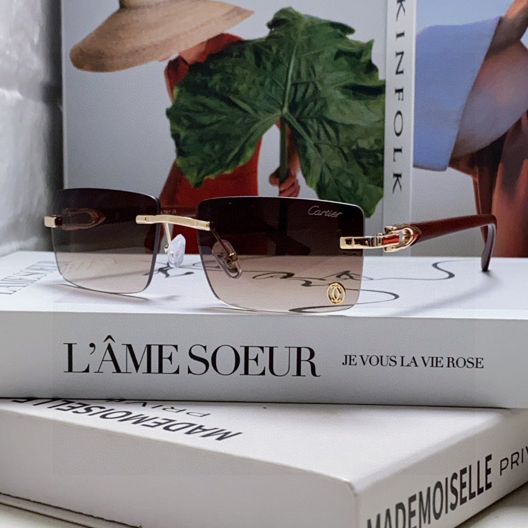 CARTIER RECTANGULAR FRAME SUNGLASSES 555890 IN METAL AND ACETATE