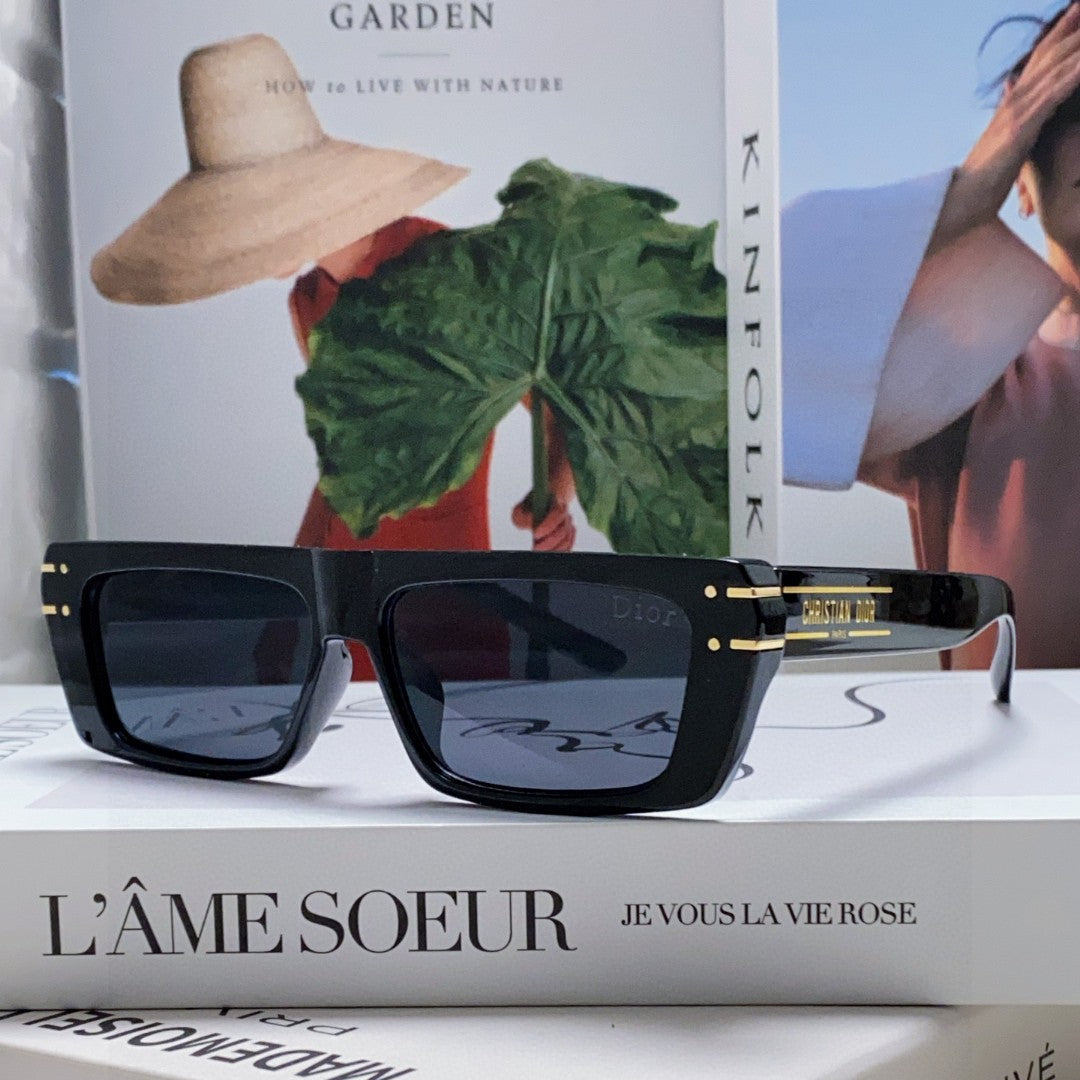 DIOR SIGNATURE SUNGLASSES 571588 IN BLACK ACETATE