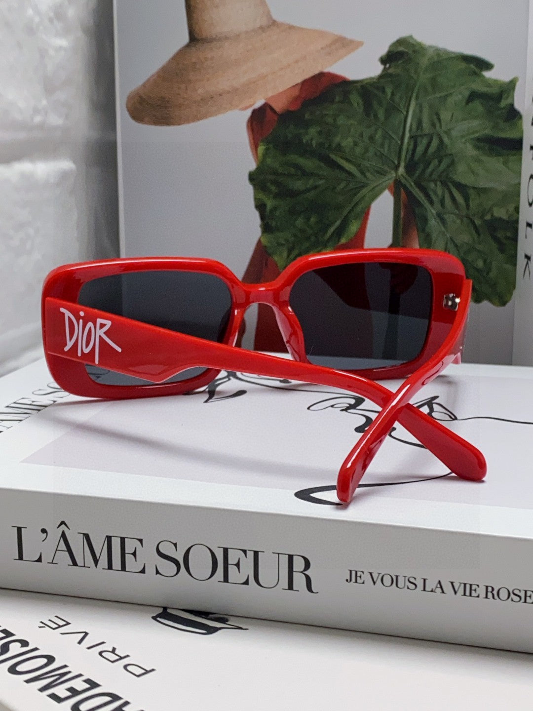 DIOR MONTAIGNE SUNGLASSES 571592 IN RED ACETATE TEXT LOGO