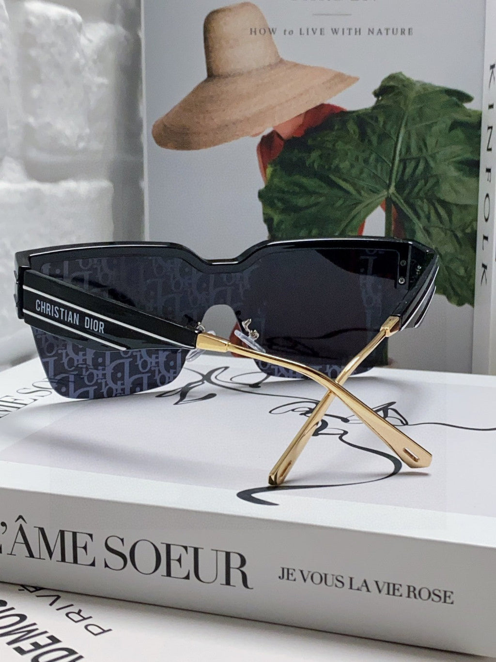 DIOR OBLIQUE SUNGLASSES 571598 IN BLACK ACETATE