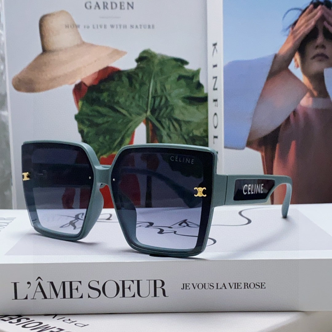 CELINE TRIOMPHE SUNGLASSES 573253 IN BABY BLUE ACETATE
