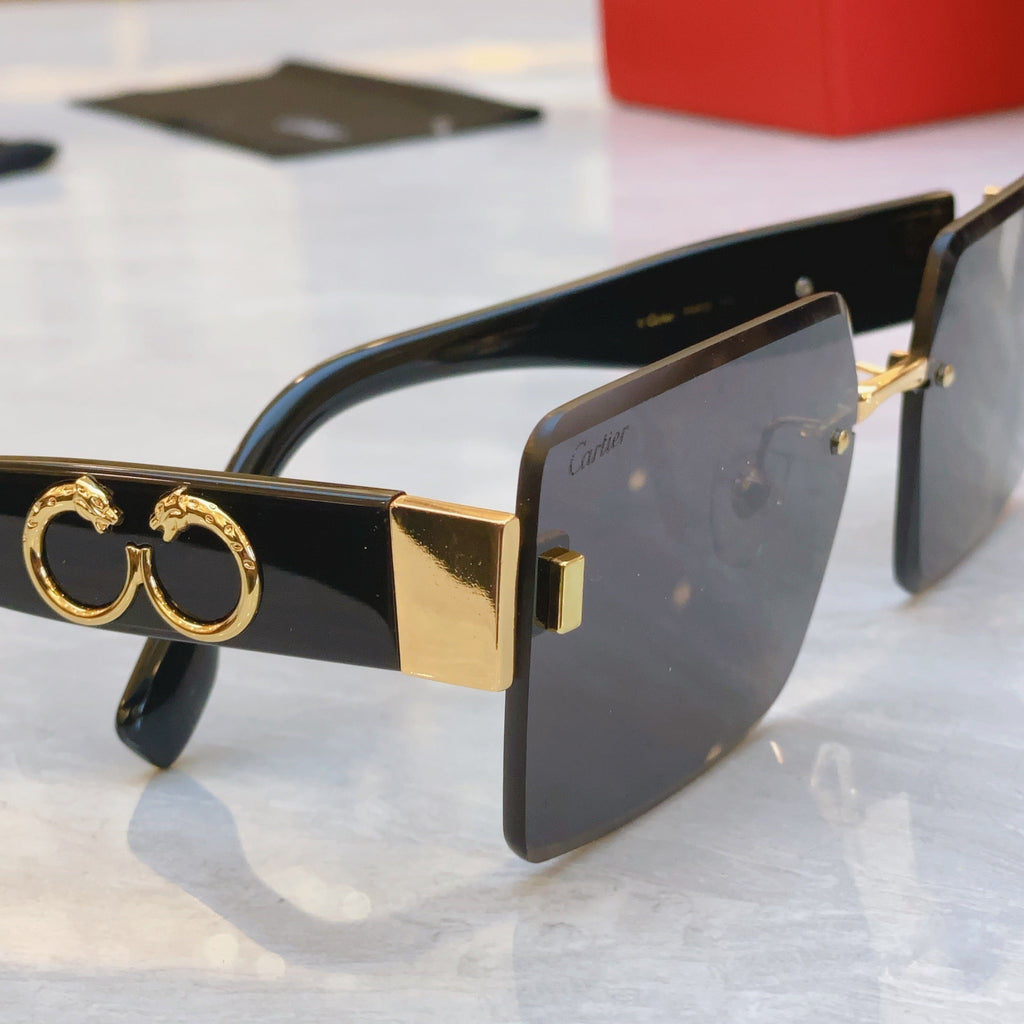 CARTIER PANTHÈRE GEOMETRIC SUNGLASSES CT00636S IN METAL AND ACETATE