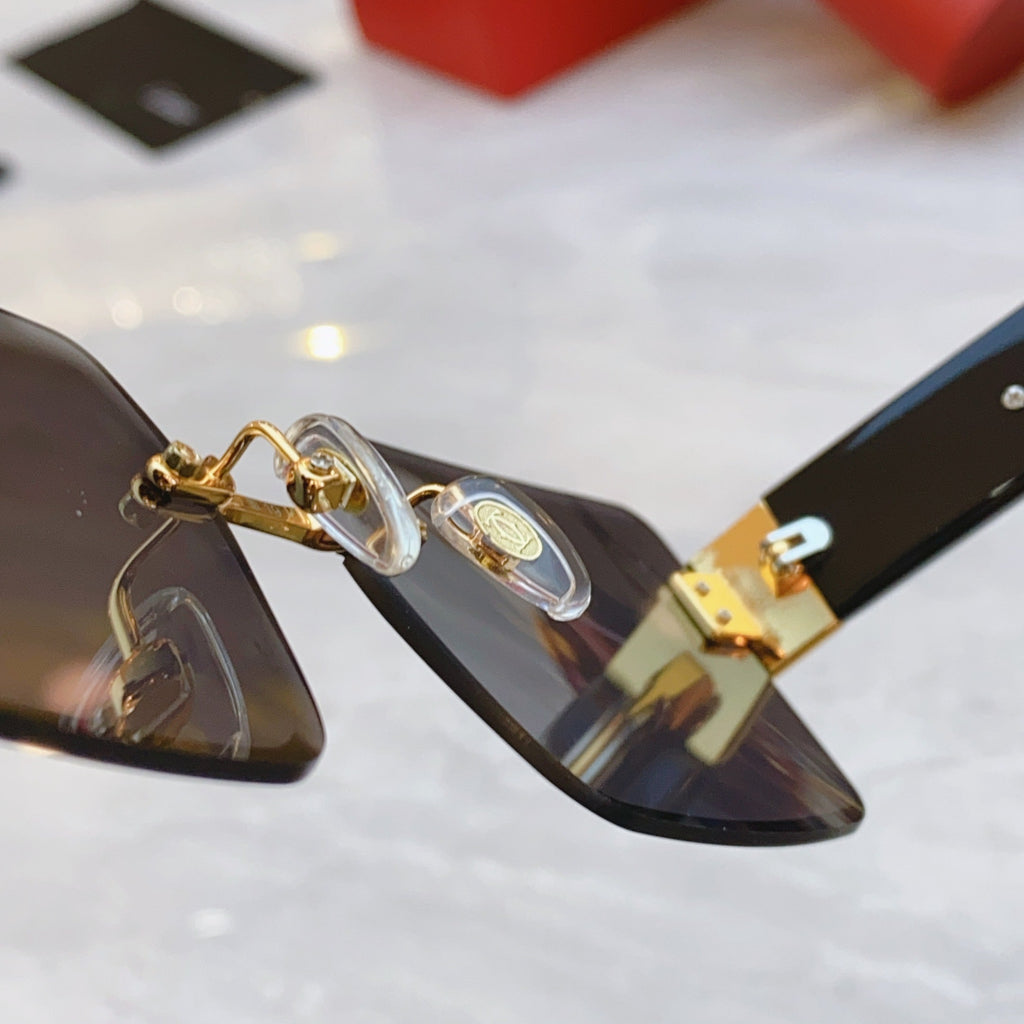 CARTIER PANTHÈRE GEOMETRIC SUNGLASSES CT00636S IN METAL AND ACETATE
