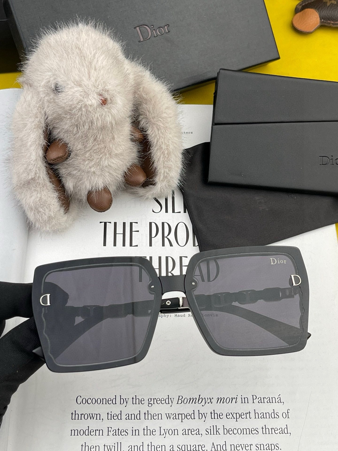 DIOR MONTAIGNE SUNGLASSES CD5302 IN ACETATE EMBOSSED LOGO