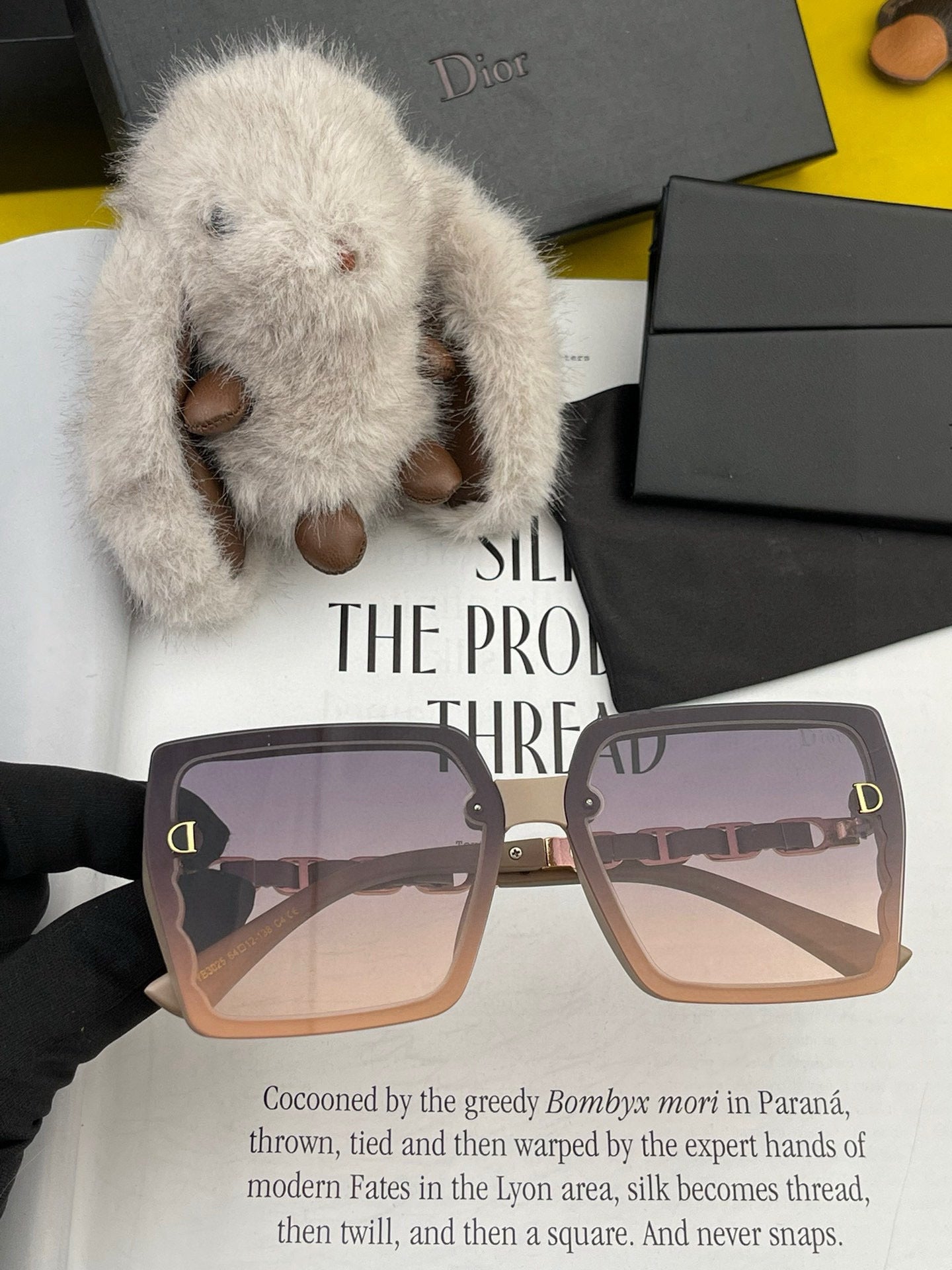 DIOR MONTAIGNE SUNGLASSES CD5302 IN ACETATE EMBOSSED LOGO