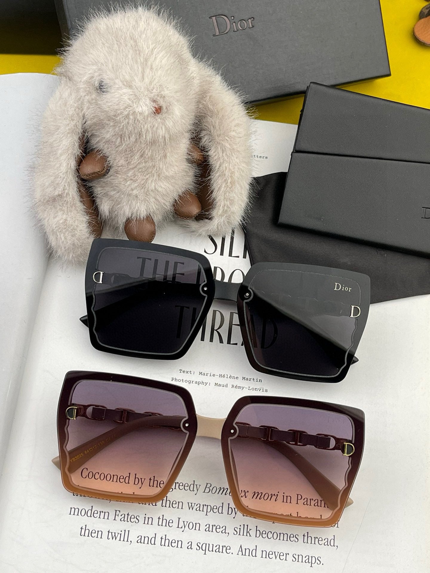 DIOR MONTAIGNE SUNGLASSES CD5302 IN ACETATE EMBOSSED LOGO