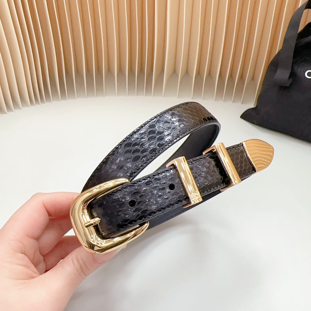 CELINE Medium Western Belt 25mm Black Snake Embossed Calfskin Ghw